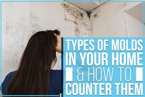 Types Of Molds In Your Home & How To Counter Them