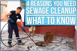4 Reasons You Need Sewage Cleanup: What To Know