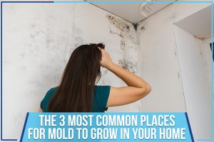 The 3 Most Common Places For Mold To Grow In your Home