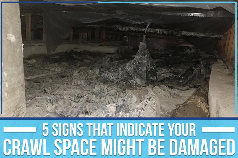 5 Signs That Indicate Your Crawl Space Might Be Damaged