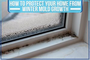 How To Protect Your Home From Winter Mold Growth
