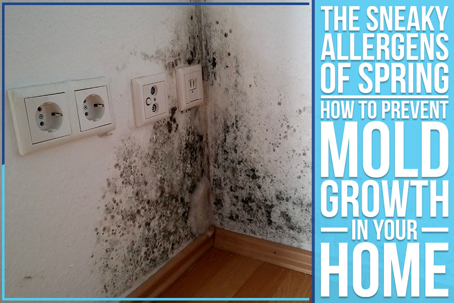 The Sneaky Allergens Of Spring: How To Prevent Mold Growth In Your Home