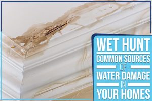 Wet Hunt - Common Sources Of Water Damage In Your Homes